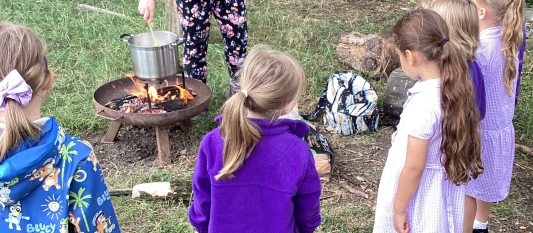 Summer Term 2 Newsletter 